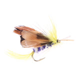 Fishing Fly Lure Set , Style Insect Artificial Fishing Bait , Single Feather , 12pcs/lot